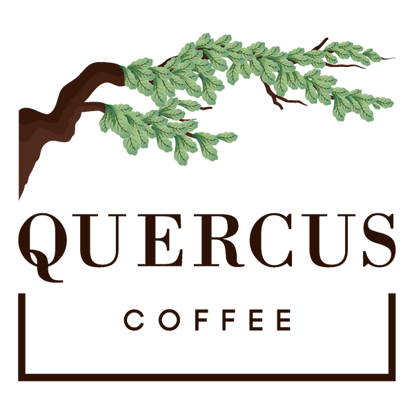 Quercus Coffee